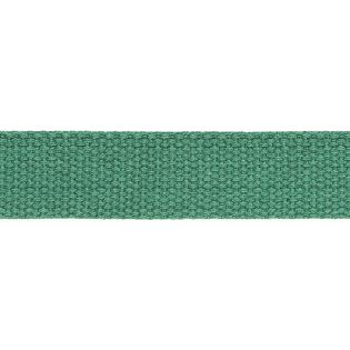 Baumwollgurtband - uni - 30 mm - blassgrün