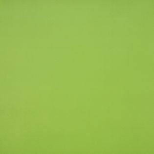 Stafil - Kunstleder - Zuschnitt - 50 x 70 cm - kiwi