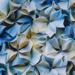 French Terry - abstrakte Blumen - Digitaldruck