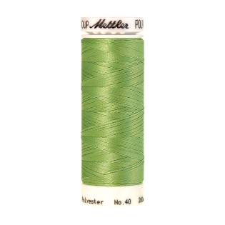 Poly Sheen - 200 m - No.40 - 5822