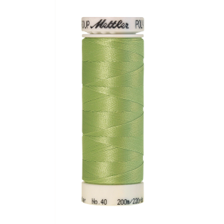 Poly Sheen - 200 m - No.40 - 6051