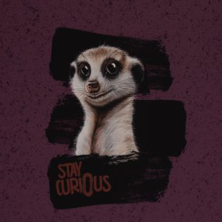 Swafing French Terry - Stay curiuos Panel - Thorsten Berger