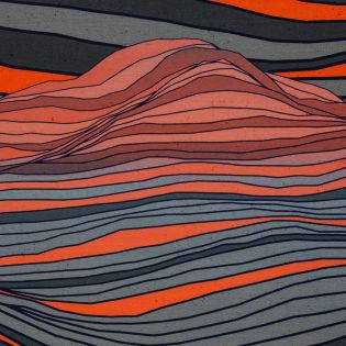 Baumwolljersey - Swafing - In the Dunes by Thorsten Berger - Dünen bunt