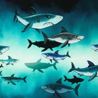 French Terry - Swafing - Shark Tank by Thorsten Berger - Panel - Haie