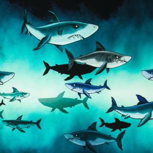French Terry - Swafing - Shark Tank by Thorsten Berger - Panel - Haie