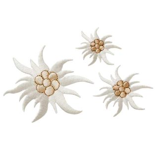 Applikation - Create "Edelweiß"