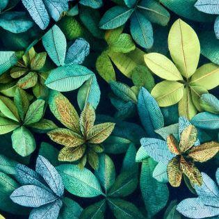 French Terry - Dschungelliebe