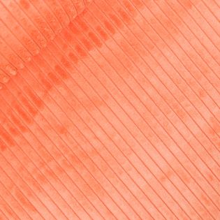 Swafing - Wanja - Cord-Samt - orange