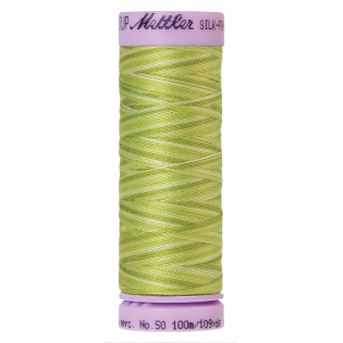 Silk Finish Cotton Multi 50 - 100 m - No.50 - 9817