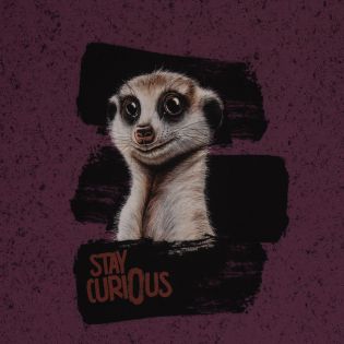 Swafing French Terry - Stay curiuos Panel - Thorsten Berger