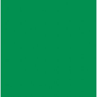 Plotterfolie - Vinylfolie - matt - hellgrün