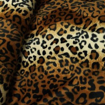 Fellimitat - afrikanischer Leopard