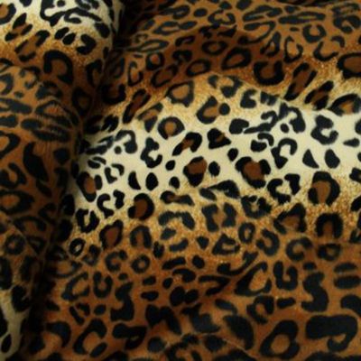 Fellimitat - afrikanischer Leopard
