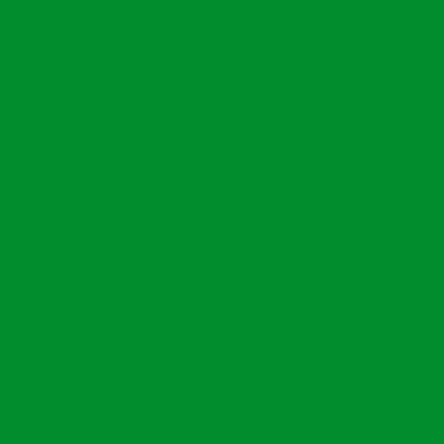 Plotterfolie - Flexfolie - hellgrün